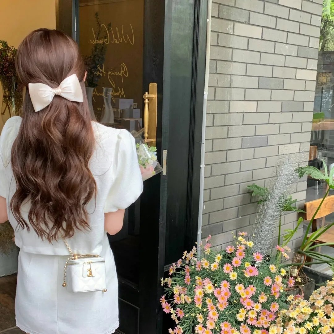 彩岛人生